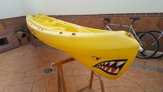 Kayak.