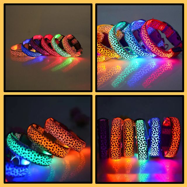 Collar LED perro