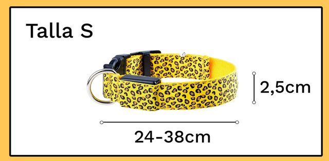 Collar LED perro