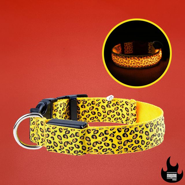Collar LED perro