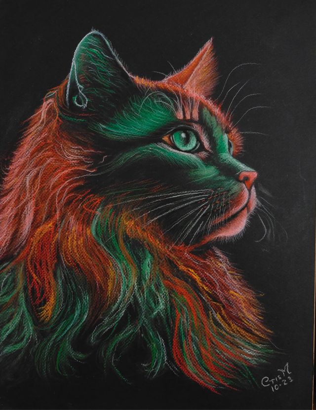 GATO B (Cuadro pintado mano) C Muñoz