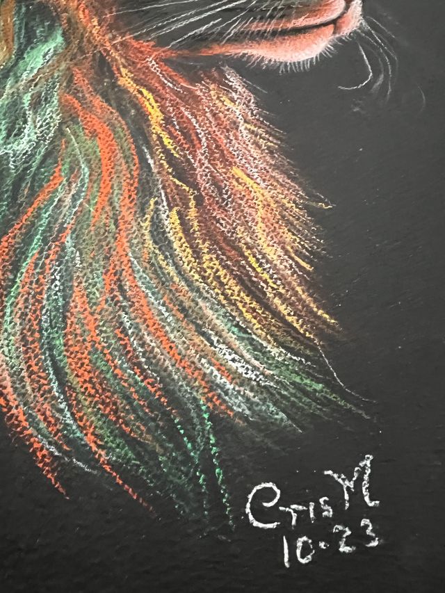 GATO B (Cuadro pintado mano) C Muñoz