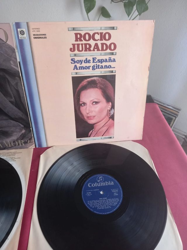 Lote con 5 Discos De Rocío Jurado por 25€