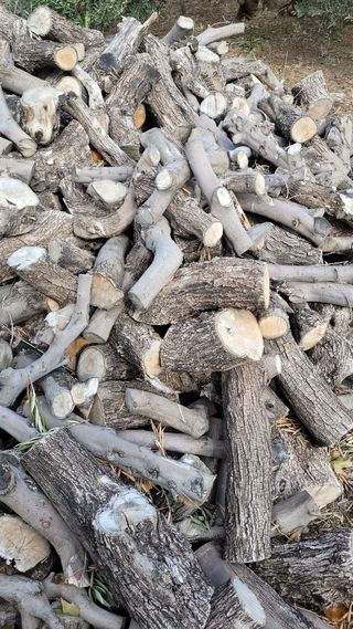 LEÑA DE OLIVO SECA