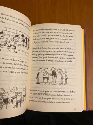 Diario de Greg 5: La cruda realidad