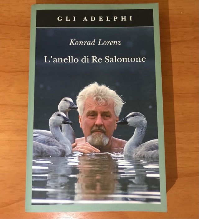 Libro "L'anello di Re Salomone"