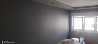 PINTOR