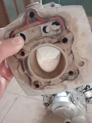 Vendo motor de cuad wildlander