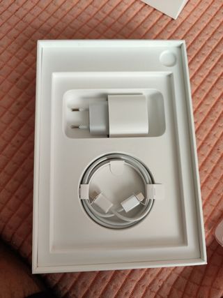 IPad mini 6