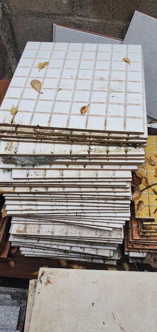 Azulejo blanco