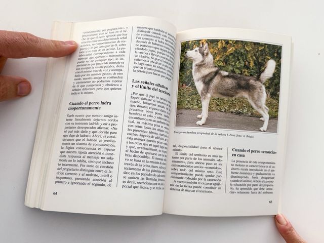 Libro de EL HUSKY SIBERIANO de Jessica Vallerino