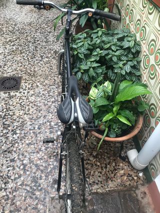 bicicleta montana monty