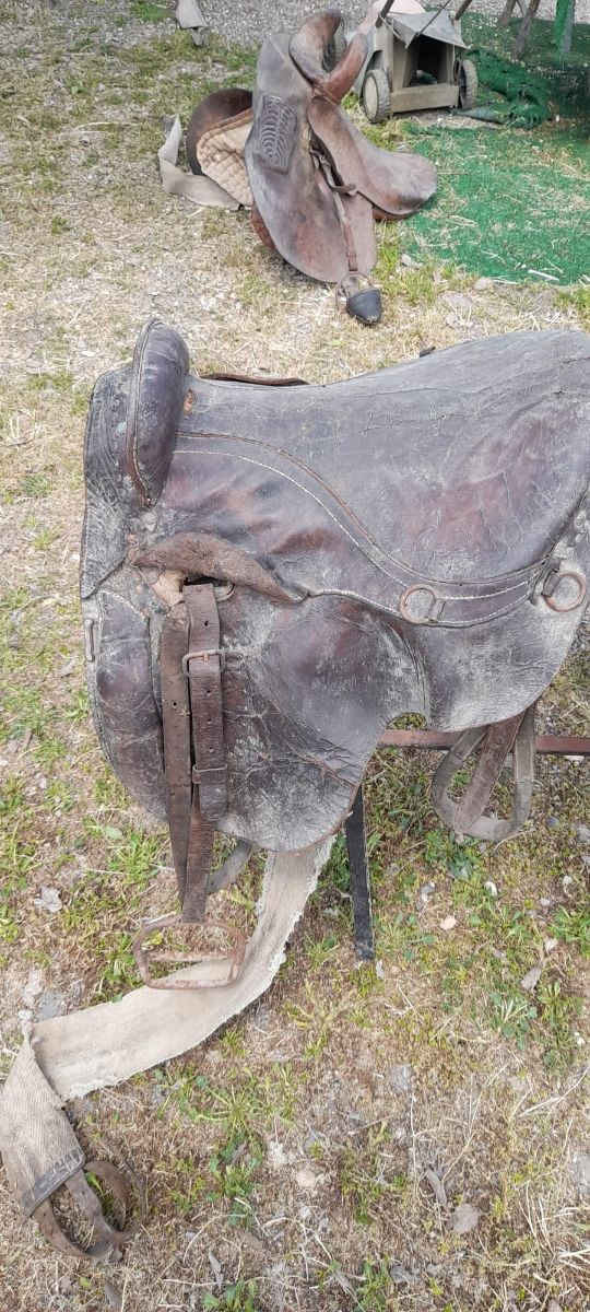 Selle antiche da mostra
