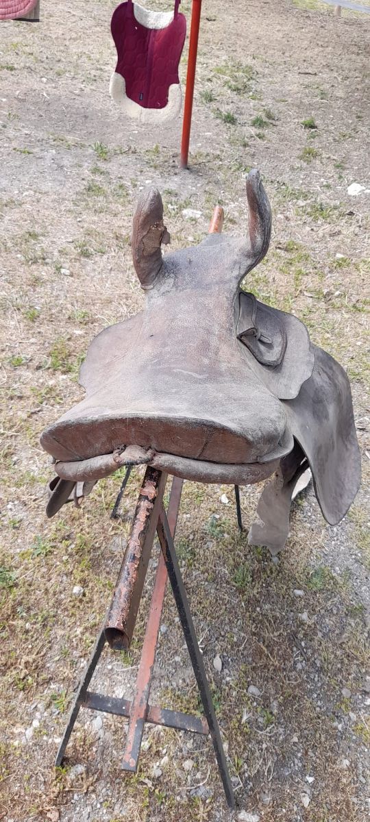 Selle antiche da mostra
