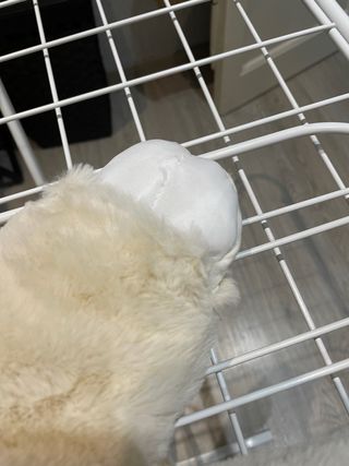 Buzo bebe Nuevo a estrenas