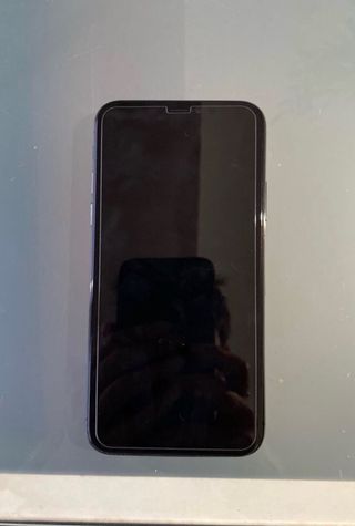 Apple iPhone xs 256 gb 100% salud de batería