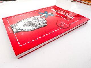 EL LIBRO DE LA MEMORIA de Àngels Navarro