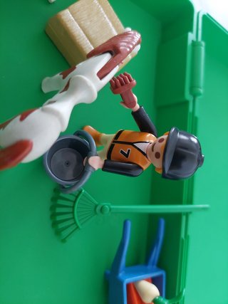 Playmobil de Granja