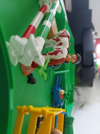 Playmobil de Granja