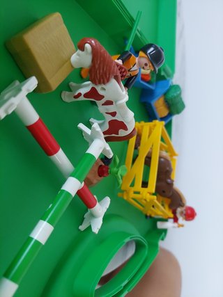 Playmobil de Granja