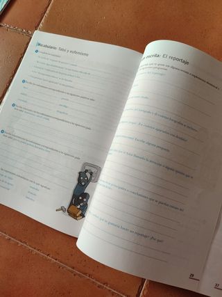 Lengua, Primaria 6, Tercer ciclo.