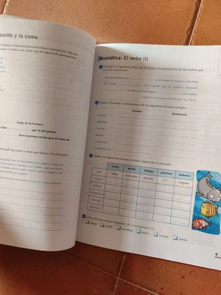 Lengua, Primaria 6, Tercer ciclo.