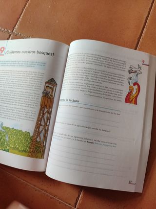 Lengua, Primaria 6, Tercer ciclo.