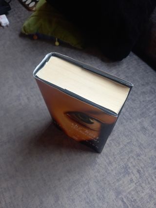 The host-La huésped. Novela de amor y extraterrest