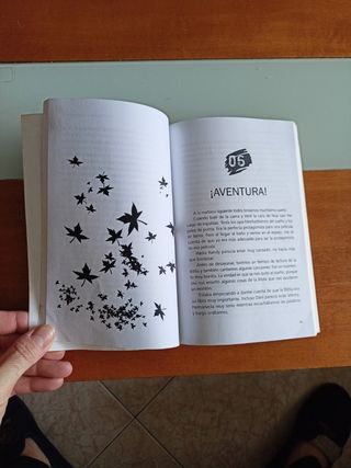 Misterio en el campamento