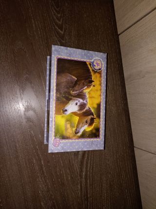 Joyero con ilustraciones de caballos