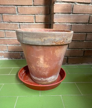 Un macetero barro_27cm diámetro x 26cm alto y pl