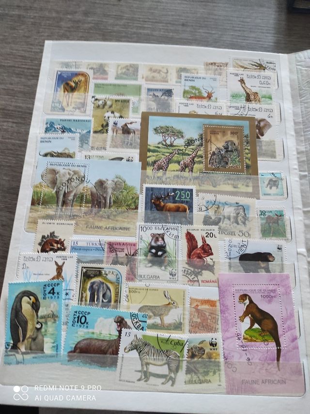 44 Francobolli animali vari