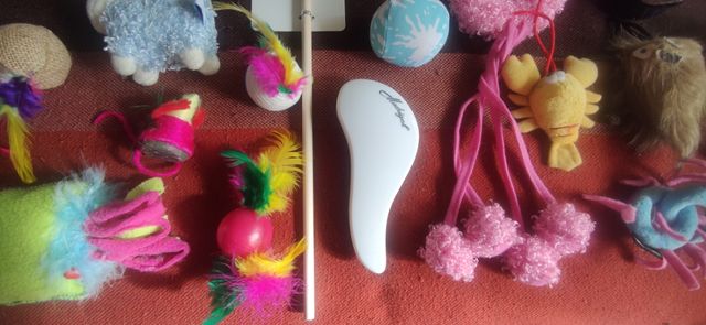 Set de juguetes y complementos para gato