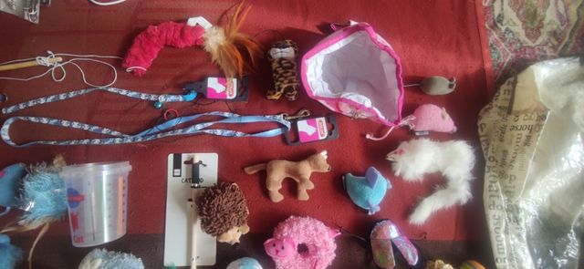 Set de juguetes y complementos para gato