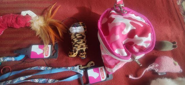 Set de juguetes y complementos para gato