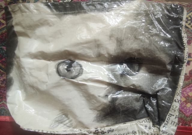 Set de juguetes y complementos para gato