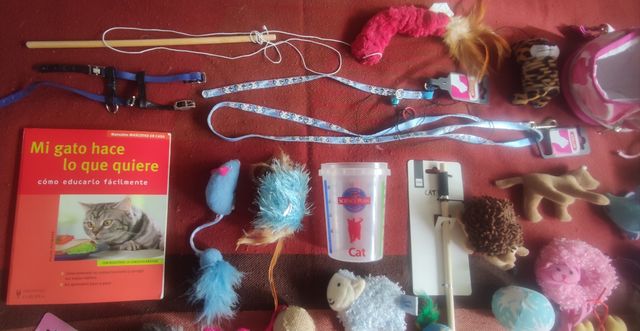 Set de juguetes y complementos para gato
