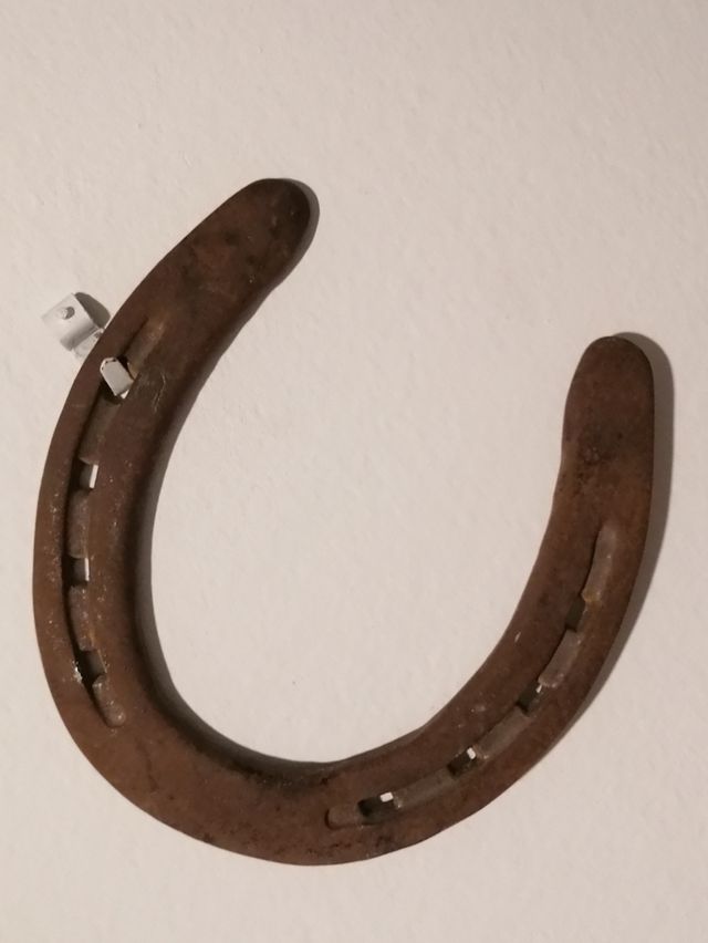 Ferro di cavallo, vero portafortuna 100%