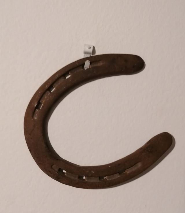 Ferro di cavallo, vero portafortuna 100%