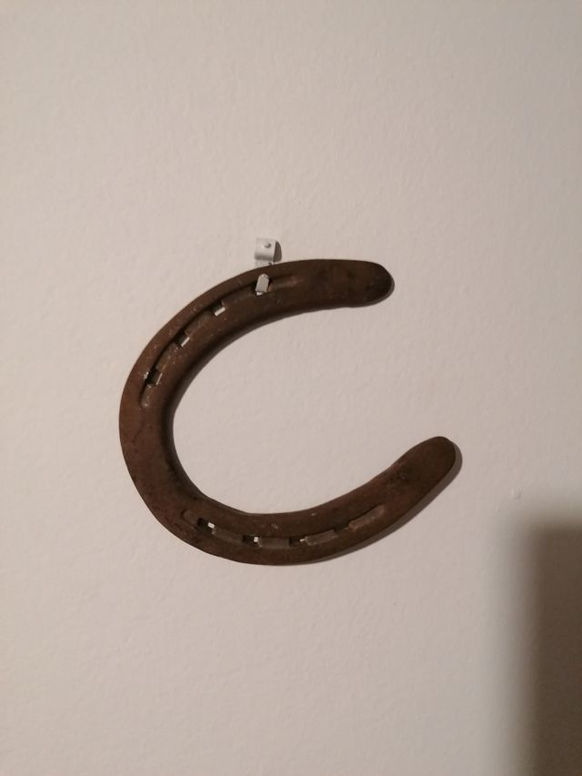 Ferro di cavallo, vero portafortuna 100%