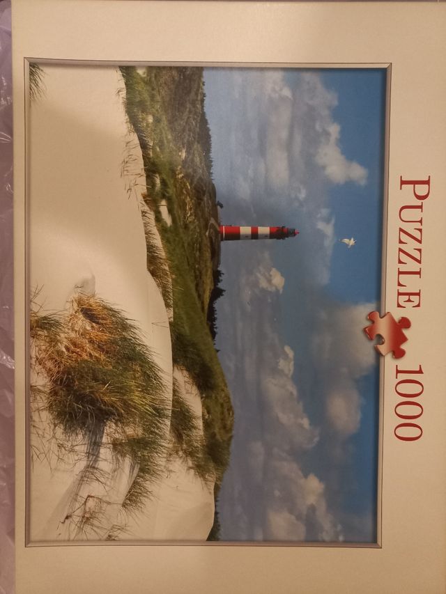Puzle de 1000 piezas