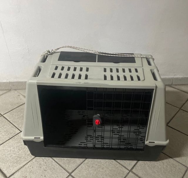 Trasportino Auto cane