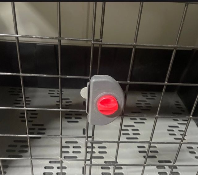 Trasportino Auto cane