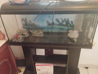 Acuario con su mueble