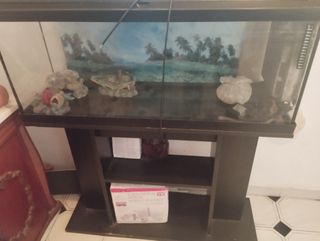 Acuario con su mueble