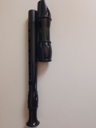 Flauta color negro con funda