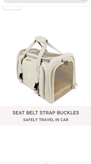 transportin perro y gato