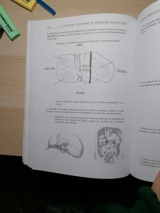 Libro anatomía práctico / esplacnologia