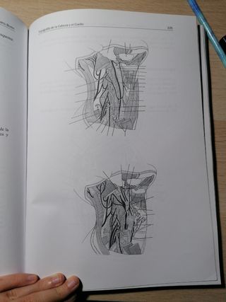 Libro anatomía práctico / esplacnologia