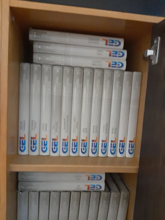 Enciclopedia Larousse Gel